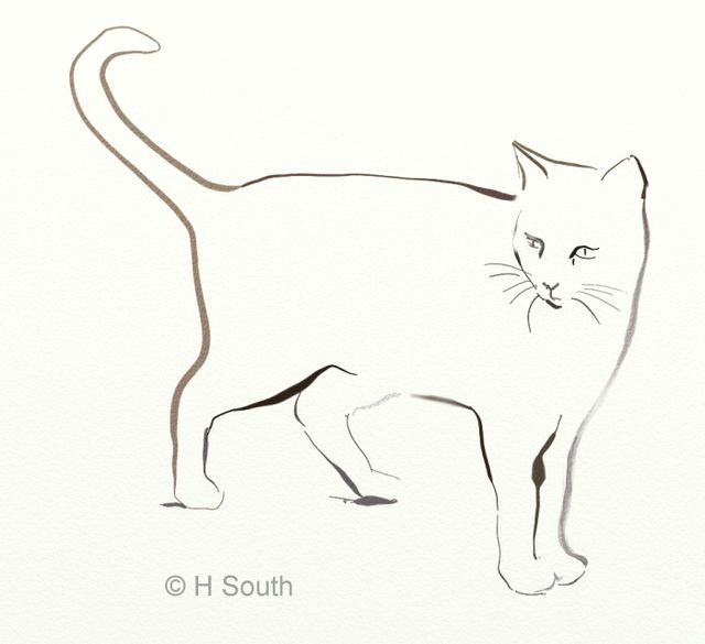 Drawing Of A Cat Jumping How to Draw and Sketch Cats