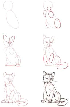 Drawing Of A Cat Laying Down 6486 Best Cat Drawing Images Cat Illustrations Drawings Cat