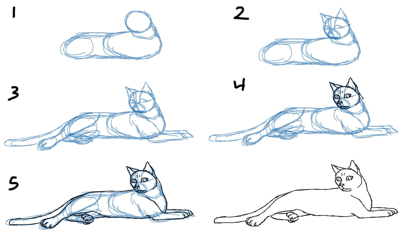 Drawing Of A Cat Lying Down How to Draw Cat Bodies In Poses Savanna Williams Drawing