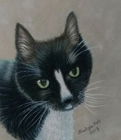 Drawing Of A Cat On A Mat 7 Best My Colour Pencil Drawings Images On Pinterest