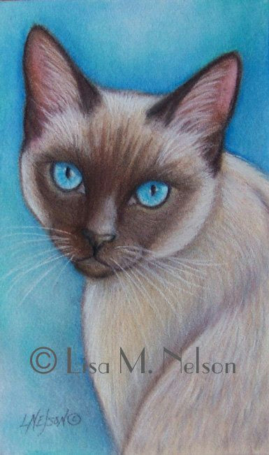 Drawing Of A Cat On A Mat original Siamese Cat Art Colored Pencil by Artbylisamnelson Art