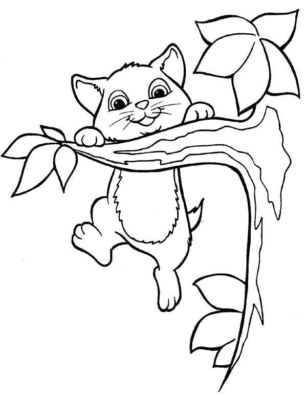 Drawing Of A Cat On A Tree Kitty Cat This Active Kitty Cat Playing On A Tree Branch Coloring
