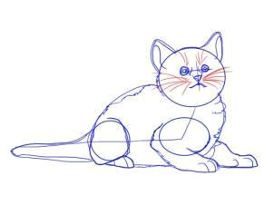 Drawing Of A Cat Paw Dod Do N D N D D D N N Dod N Don Dod N D D D D N D D Draw Pinterest Draw Cats and