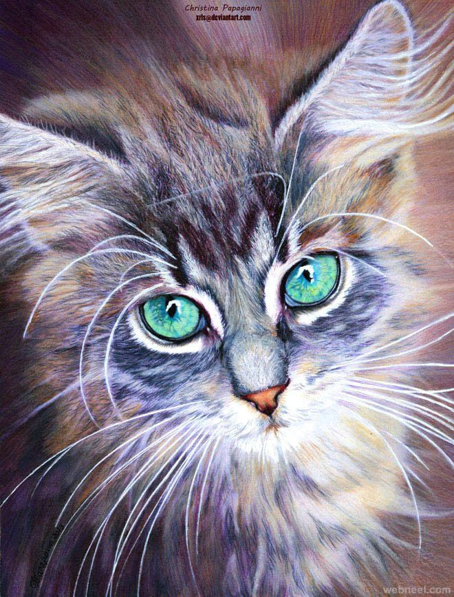 Drawing Of A Cat Person 50 Beautiful Color Pencil Drawings From top Artists Around the World