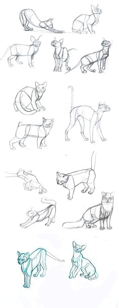 Drawing Of A Cat Playing 6486 Best Cat Drawing Images Cat Illustrations Drawings Cat