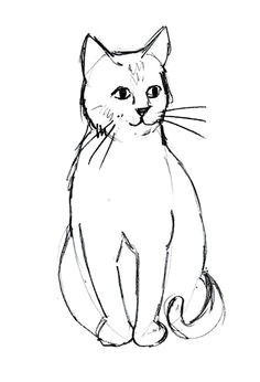 Drawing Of A Cat Running 300 Best Drawing Cats Images In 2019 Draw Animals Cat