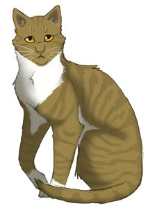 Drawing Of A Cat Sitting 106 Best Drawing Cats Images Drawing Tutorials Cat Reference