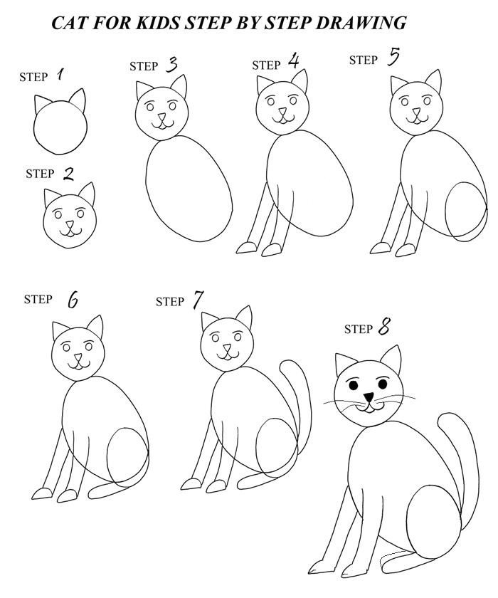 Drawing Of A Cat Step by Step How to Draw A Cat Dr Odd