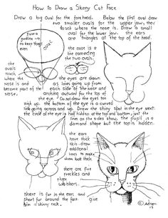 Drawing Of A Cat Using Shapes 141 Best How to Draw Pets Images Drawing Tutorials Art Lessons
