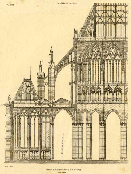 Drawing Of A Cathedral Partial Section Of the Cathedral Amiens History Of Architecture