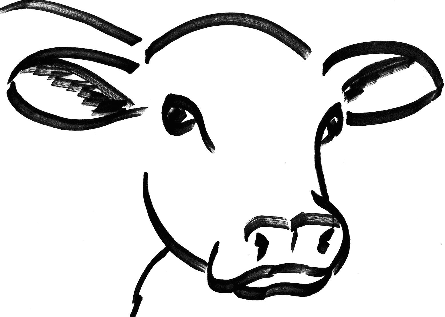 Drawing Of A Cattle 56 Best Cow Drawing Images Cow Painting Animal Drawings Animal