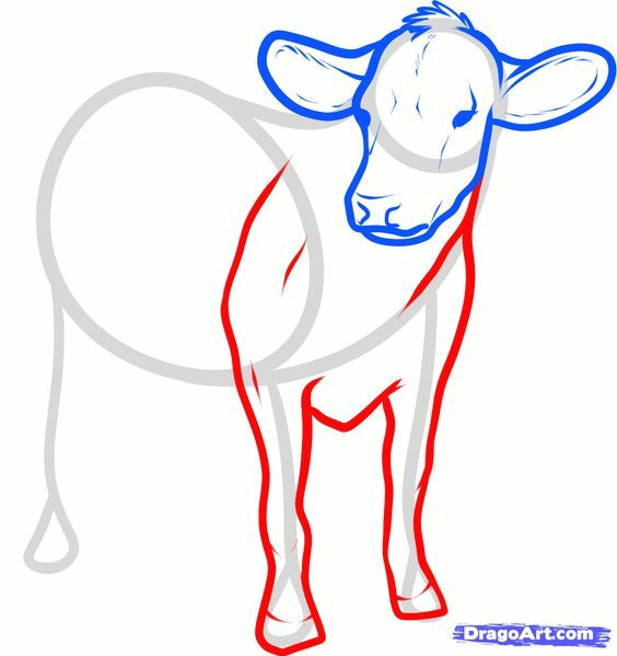 Drawing Of A Cattle How to Draw Cattle Step by Step Farm Animals Animals Free