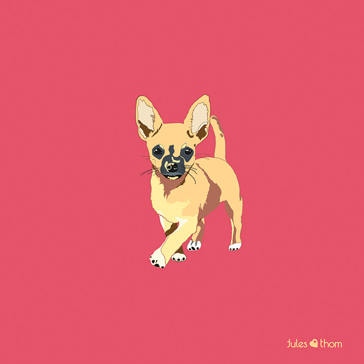 Drawing Of A Chihuahua Dog Chihuahua the Doggo Collection Pinterest Collection Chihuahua