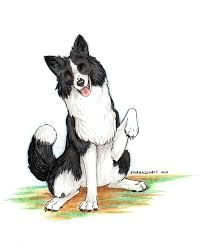 Drawing Of A Collie Dog 27 Best Border Collie Images Drawing Tips Drawing Techniques