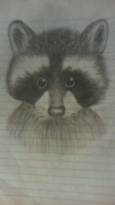 Drawing Of A Cute Raccoon 277 Best Raccoons Drawings and Paintings Of Raccoons Images
