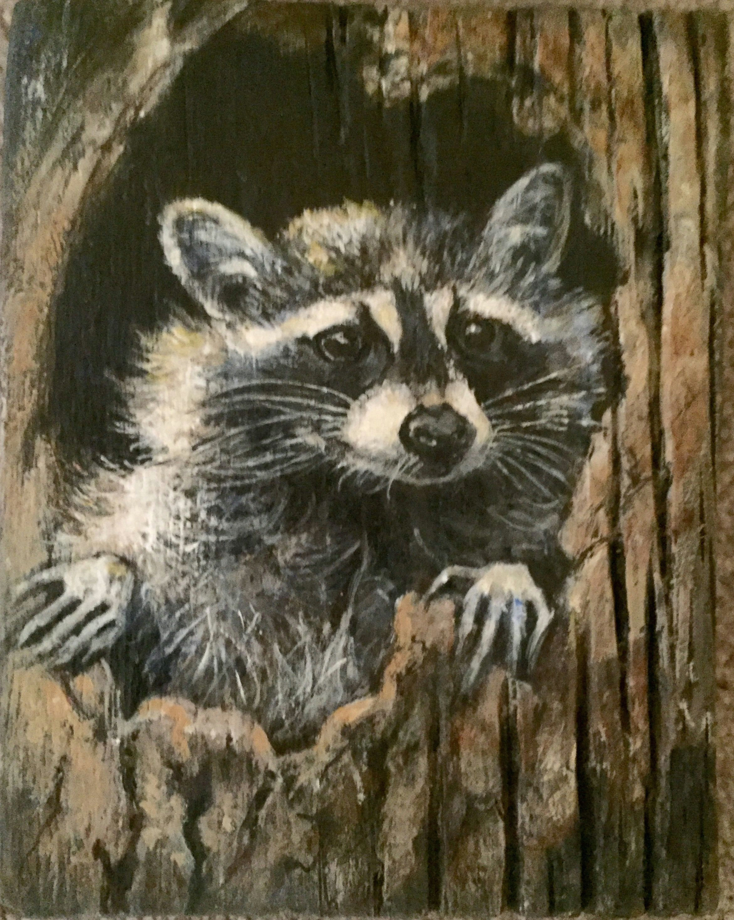 Drawing Of A Cute Raccoon Raccoon Acrylic On Barn Wood My Paintings In 2019 Painting On