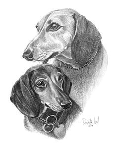 Drawing Of A Dachshund Dog 119 Best Dog Line Art Drawing Images Dog Art Dachshund Dog Dog