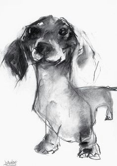 Drawing Of A Dachshund Dog 510 Best Art Dachshund Images Dachshund Dog Sausages Dachshund