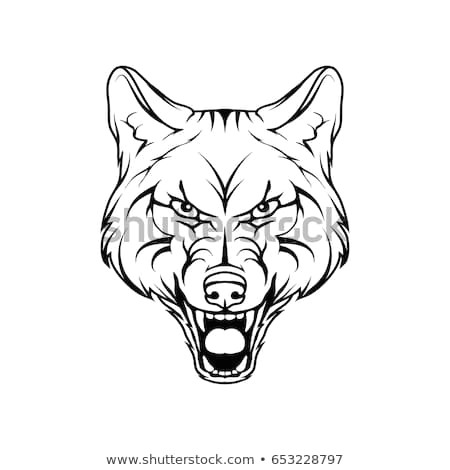 Drawing Of A Dangerous Dog Vector Sketch Wild Dog Business Sign Stock Vektorgrafik Lizenzfrei
