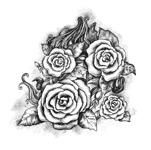 Drawing Of A Dark Rose Black and White Ink Roses Eugenia Hauss Art Design Black