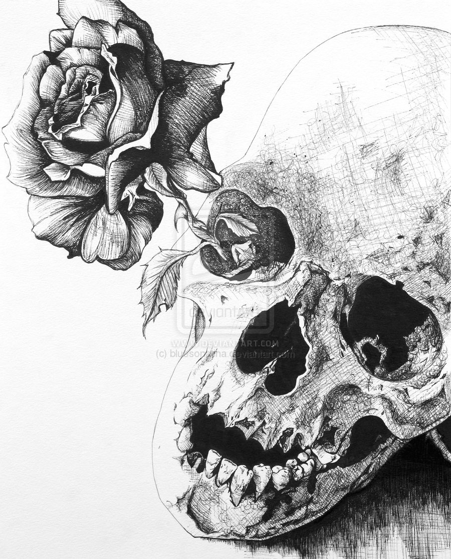 Drawing Of A Dark Rose Dongetrabi Black Rose Drawing Images