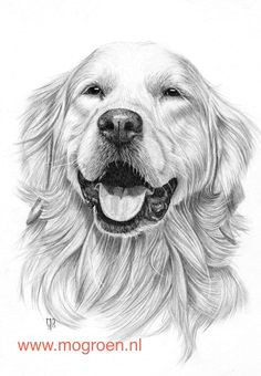 Drawing Of A Dead Dog 3826 Beste Afbeeldingen Van Drawings In 2019 Drawing Techniques