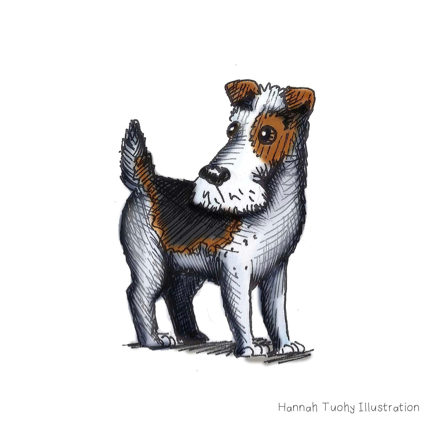 Drawing Of A Dog Barking Hannah Tuohy Illustrator Dogbarkingvideo Dog Barking Video