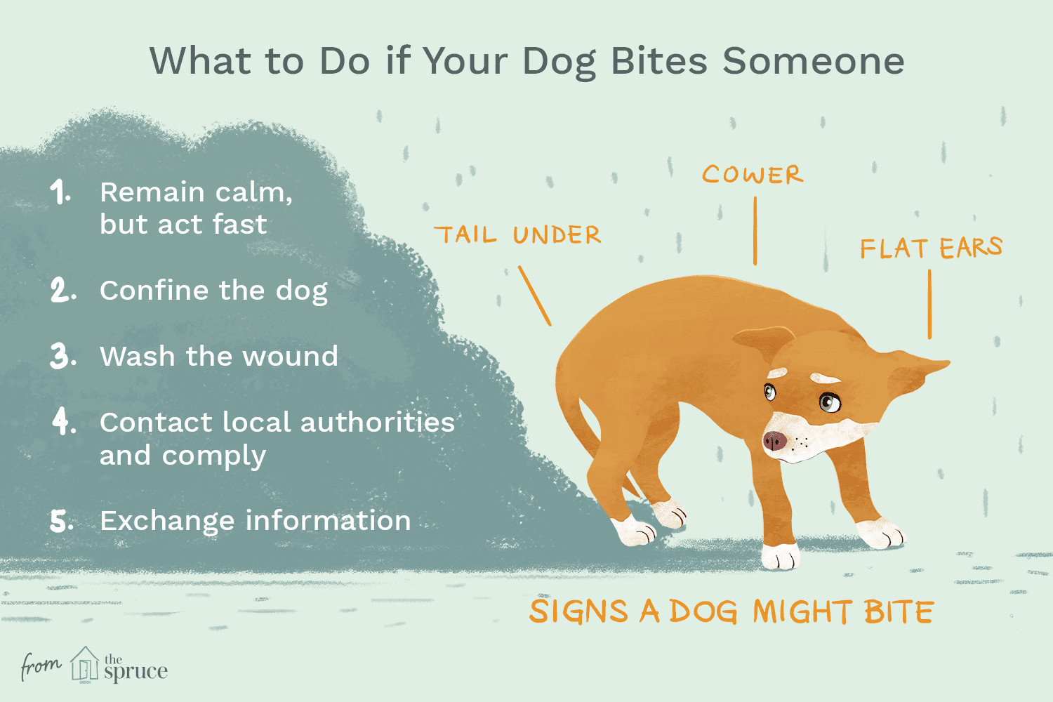 Drawing Of A Dog Bite Reasons why Dogs Bite and How to Stop It