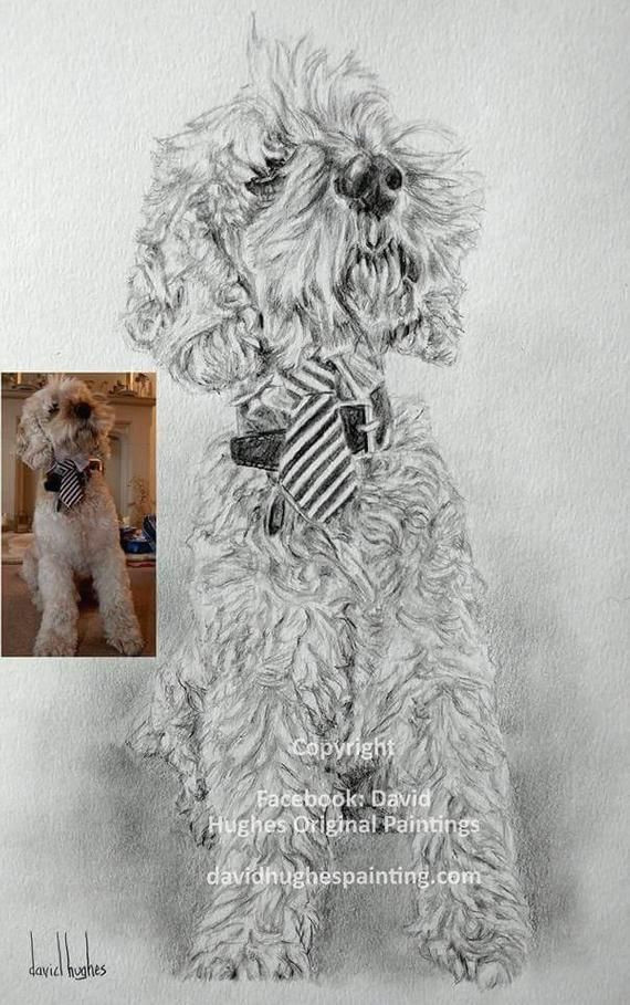 Drawing Of A Dog Black and White Pin Od Betulek Handmade Jewelry Crochet Knitting Lifestyle Na