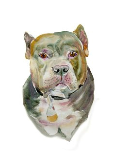Drawing Of A Dog Bowl 880 Best Watercolor Dog Images In 2019 Animal Drawings Animal