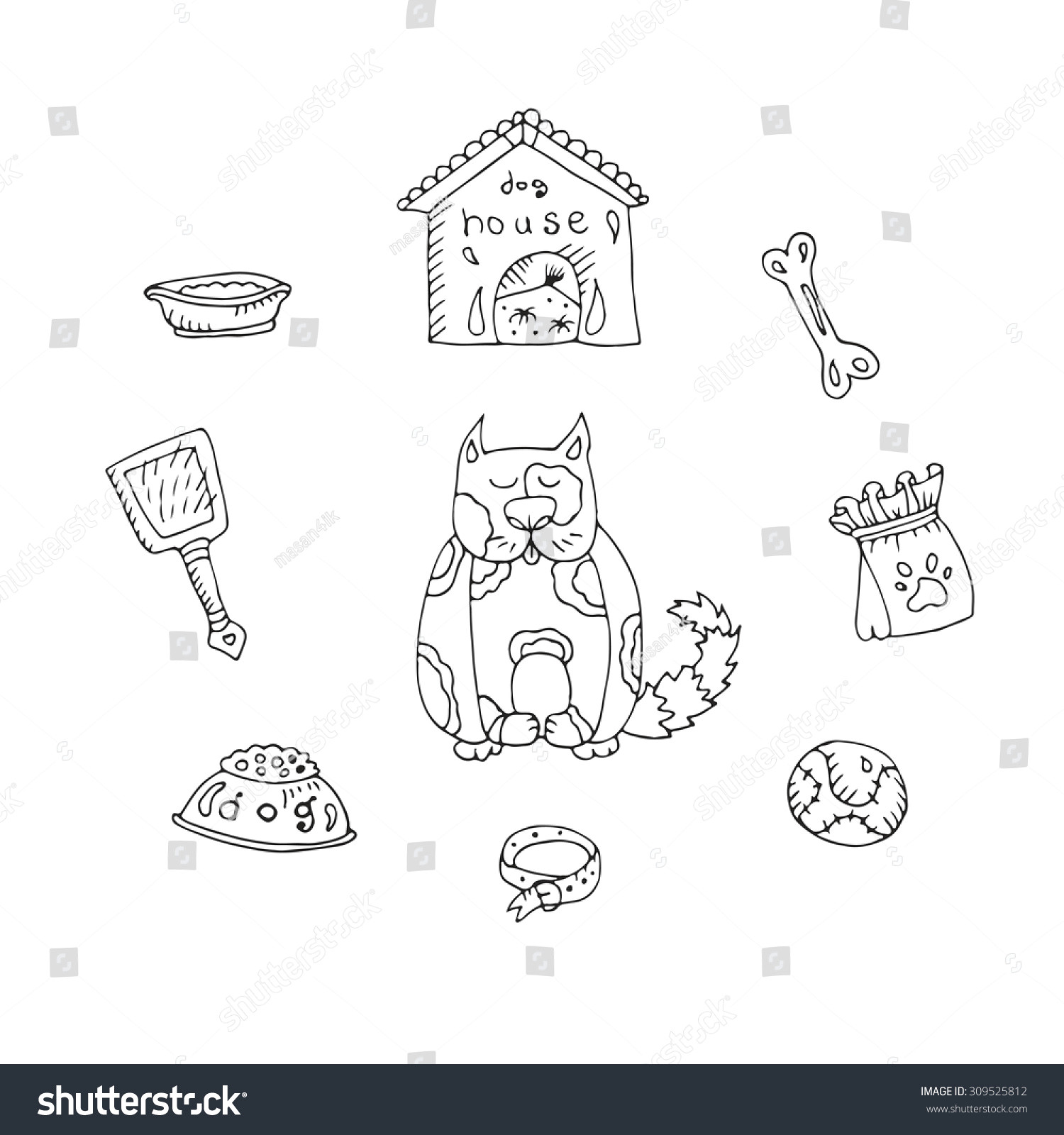 Drawing Of A Dog Bowl Vector Set Dogs Various Objects Dog Stock Vector Royalty Free