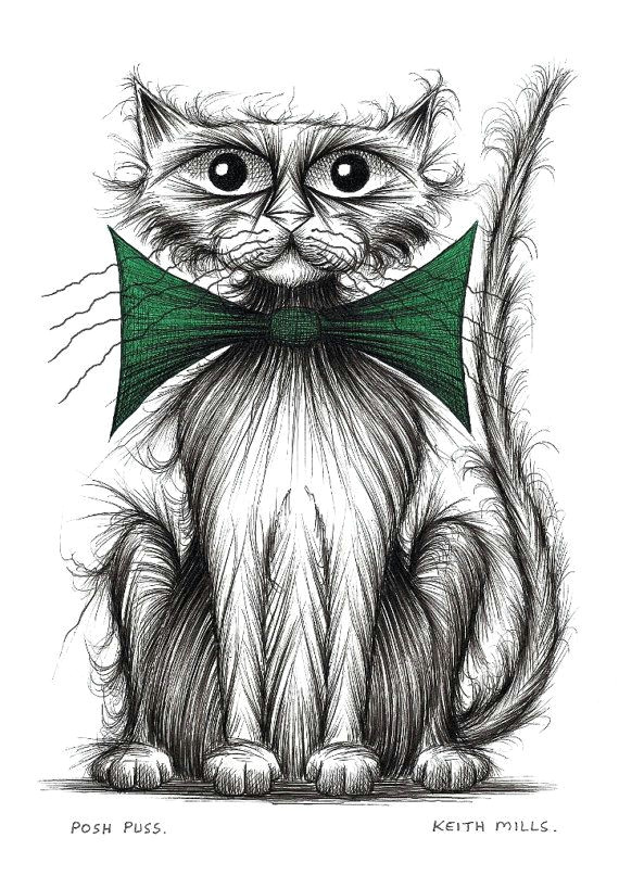 Drawing Of A Dog Cat Posh Puss Print Download Important Looking Pet Cat Kitty Puss