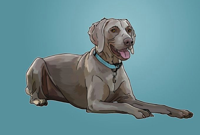 Drawing Of A Dog Collar Draw Your Amazing Pet In A Realistic Style Digital Illustration