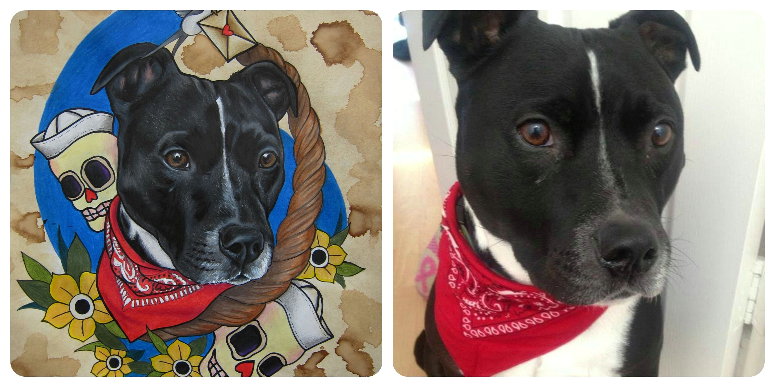 Drawing Of A Dog Collar Pet Portraits Done by Draw Me A Monkey to Find On Facebook