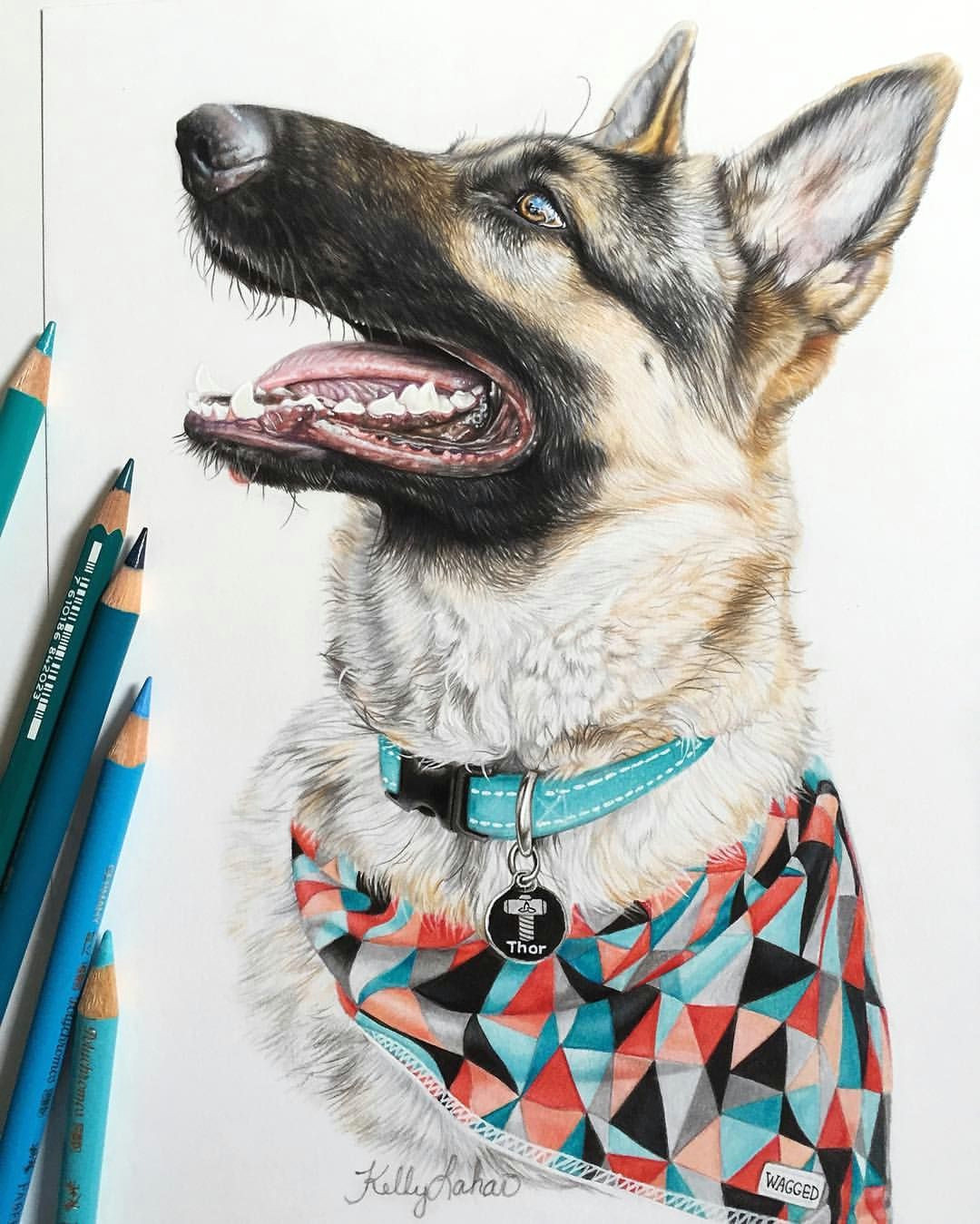 Drawing Of A Dog Collar Pin by Roj On Colored Pencil Animal Dog Draw Pencil Drawings Art
