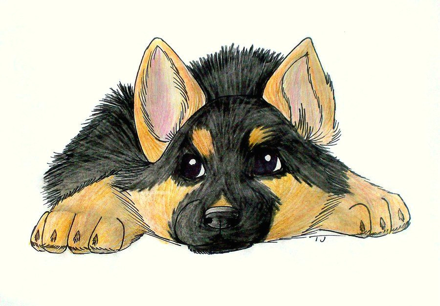 Drawing Of A Dog Digging German Shepherd Drawing Puppy Google Search German Shepherd