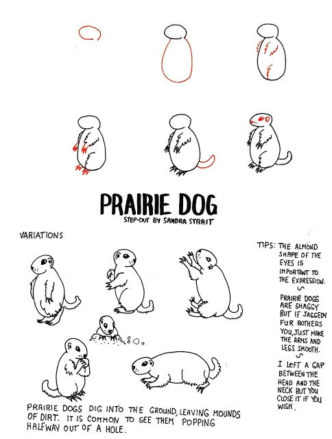 Drawing Of A Dog Easy Step by Step Life Imitates Doodles Prairie Dog Fantasy Landscape Step Out