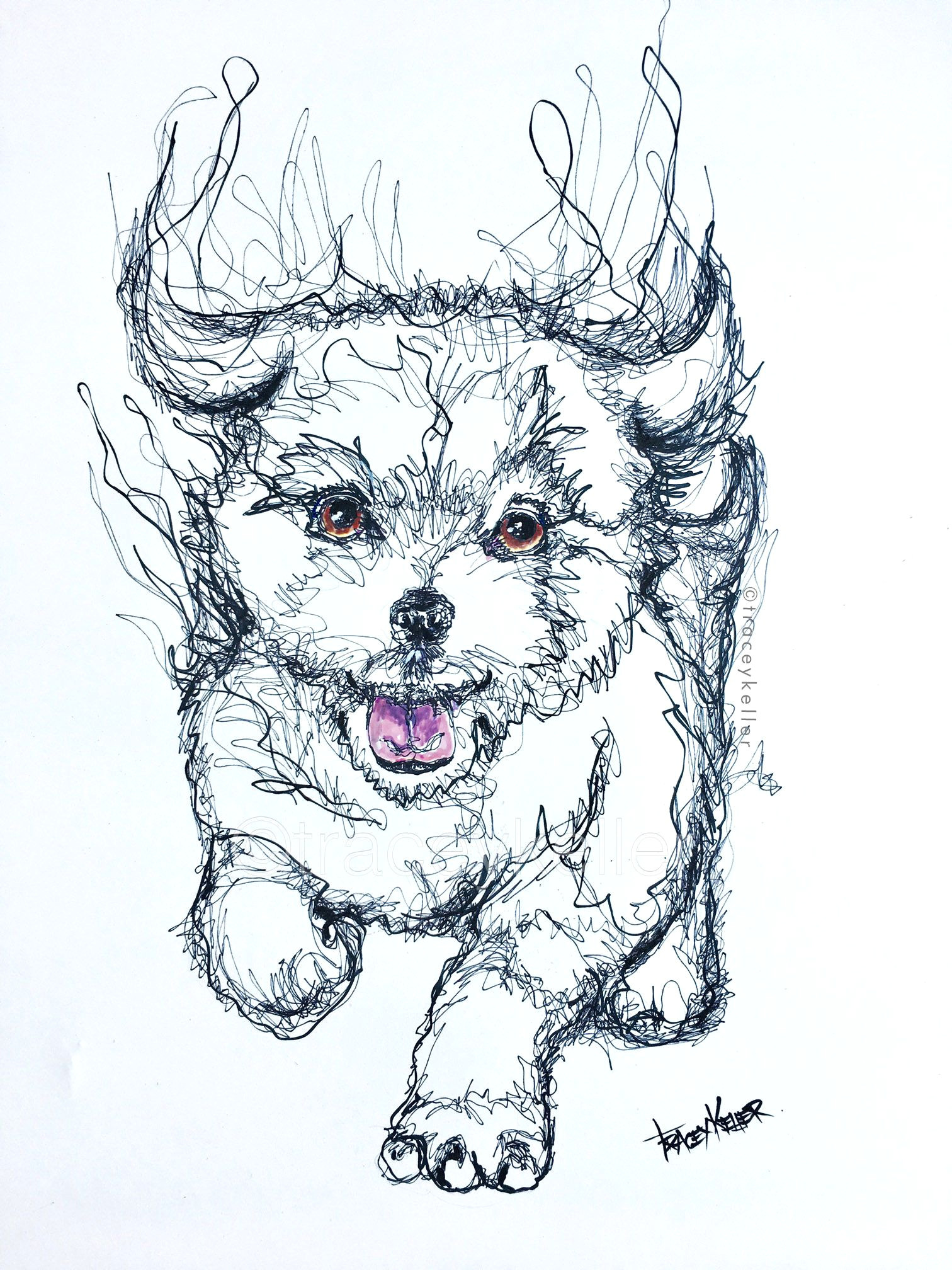 Drawing Of A Dog Footprint Fluffy Puppy Tracey Keller Sketch Doodle Pet Doodle Pinterest