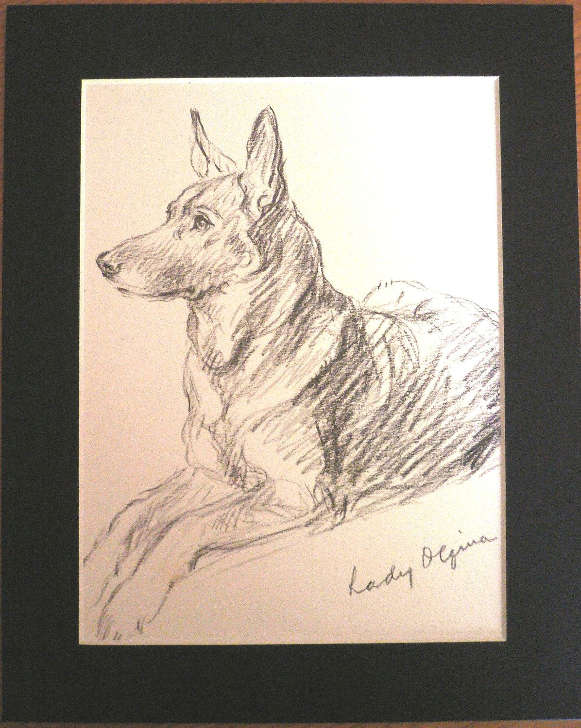 Drawing Of A Dog Footprint Vintage Mounted 1937 Mac Lucy Dawson Lady Olfina Alsatian German