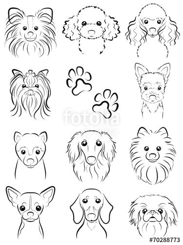 Drawing Of A Dog Head Fotolia Comi I E I I I E E I Dog Line Drawing by Keko Ka E