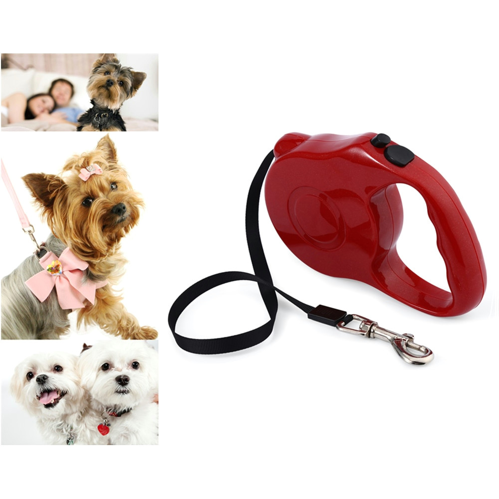 Drawing Of A Dog On A Leash 5m 3m Retractable Dog Leash Lead One Handed Lock Training Pet Puppy
