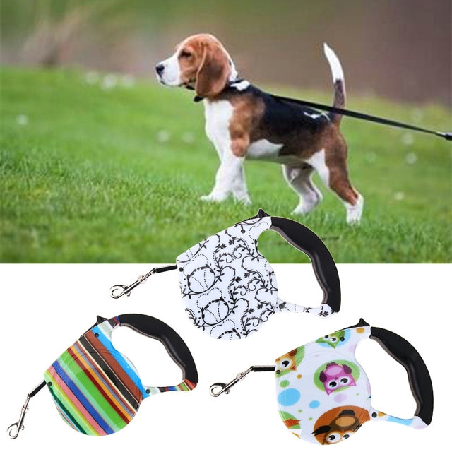 Drawing Of A Dog On A Leash Dog Lead Retractable Dog Leash 5m Pet Dog Cat Puppy Automatic