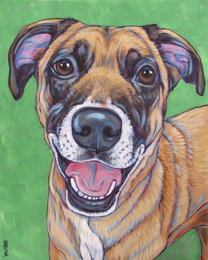 Drawing Of A Dog Painting Belgian Malnois Mixed Breed Dog Custom Pet Portrait Painting In