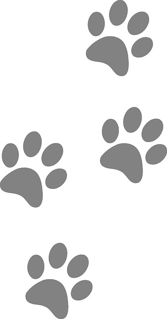 Drawing Of A Dog Paw Free Image On Pixabay Footprints Animal Dog Paw Cat Cricut