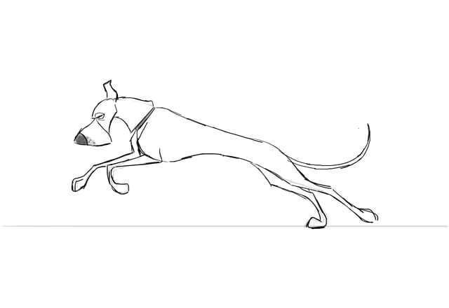Drawing Of A Dog Running Dog Run Cycle Animal Creature Animation Pinterest Animation