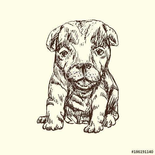 Drawing Of A Dog Sitting Down Puppy Sitting Hand Drawn Doodle Sketch isolated Vector Outline