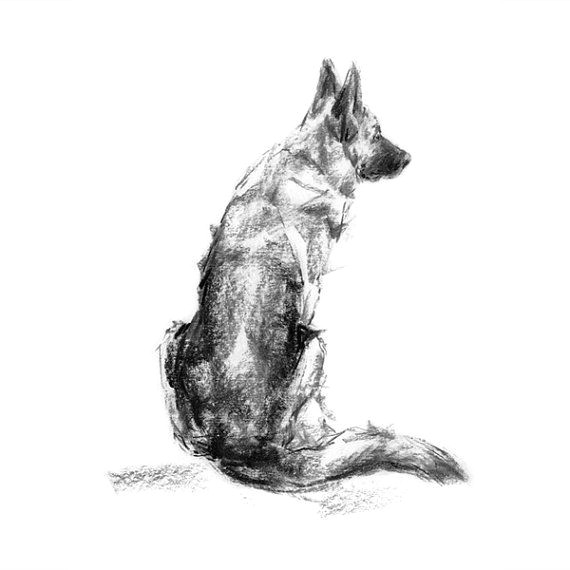 Drawing Of A Dog Sitting German Shepherd Dog Sketch Fine Art Dog Print Gsd Gift Pets Dog