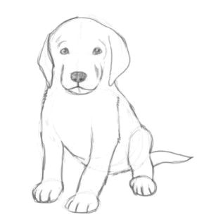 Drawing Of A Dog Sitting Pics for Easy Drawings Of Cute Dogs Drawings In 2019