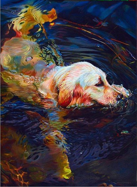 Drawing Of A Dog Swimming Kelly Mcneil Http Www Kellymcneil Net Art Pinterest Dog