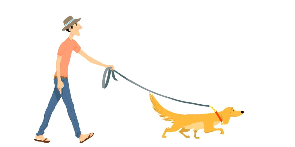Drawing Of A Dog Walking Pin by Alexandra Marie On Art Character Design Illustration